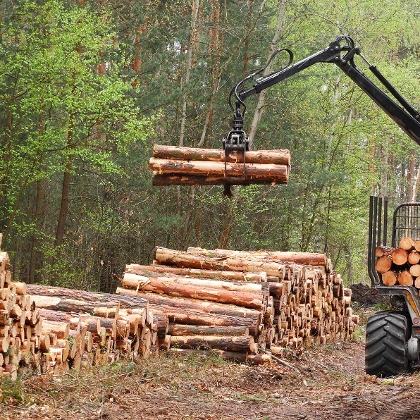 Holzhandel mit dem Lagerhaus Marchfeld