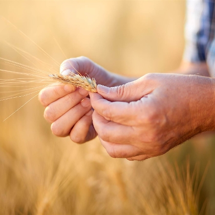 Ihr Partner für biologisch wirtschaftende Betriebe