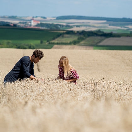 Land-  und Forstwirtschaft