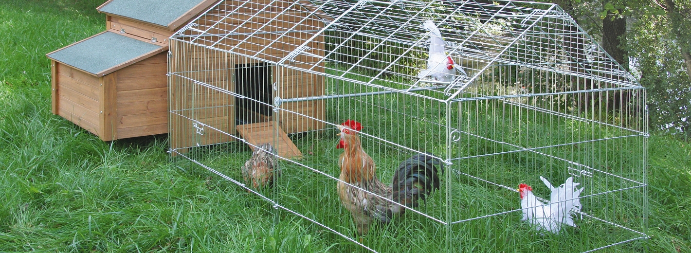Hühnerstall