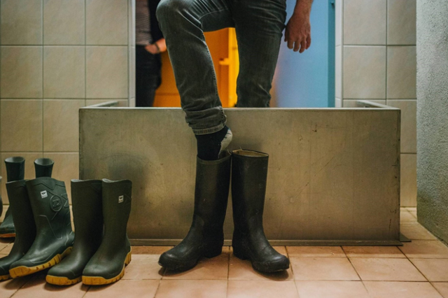 Den Stall nur mit eigener Stall-Kleidung und Stall-Stiefel betreten!