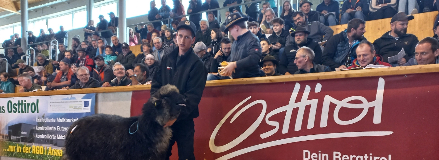Die Steinschaf-Kilber von Georg Steidl aus Innervillgraten kostete € 2.020,-- netto im Ring und erwarb Stefan Tischner aus Stumm im Zillertal.