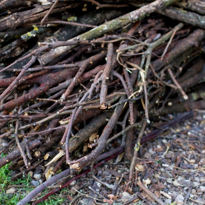 Häcksler: Der Zerkleinerer für den Garten