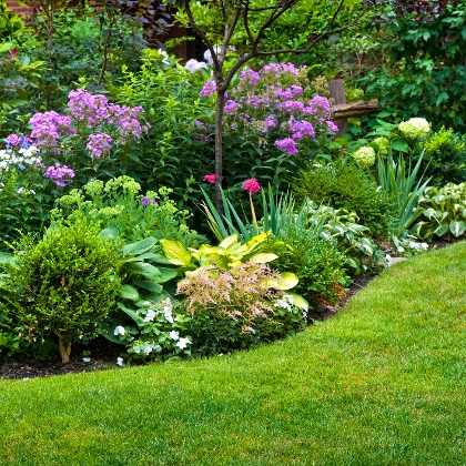 Blütensträucher – eine Zierde für den Garten
