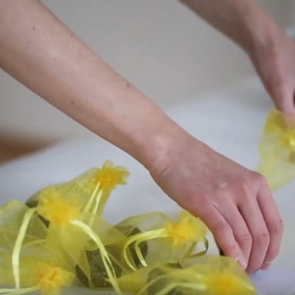 DIY Samenbomben für den Garten
