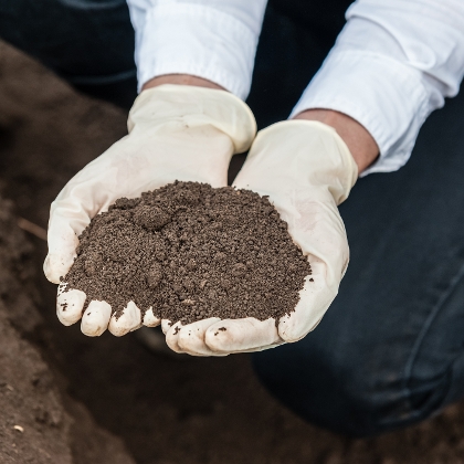 Bodentest: Untersuchen Sie Ihren Gartenboden
