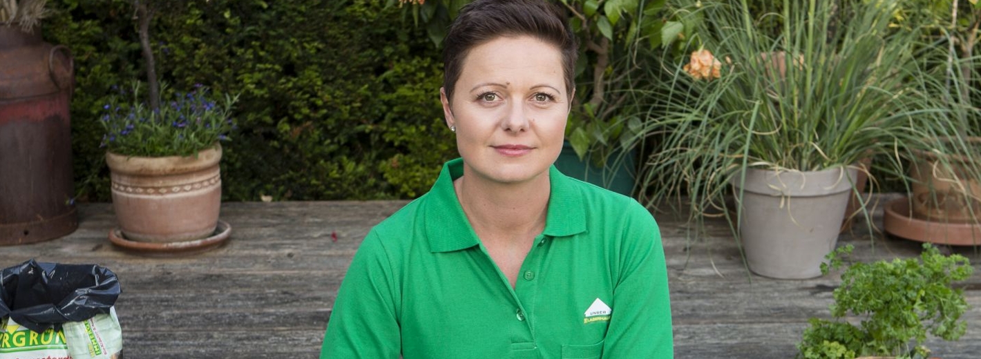 Saatgut aus Tomaten gewinnen