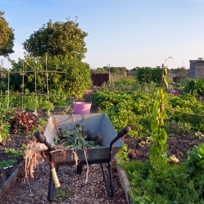Selbstversorger-Garten anlegen