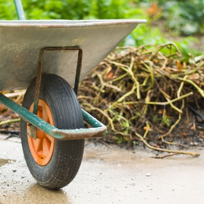Diese Gartenabfälle dürfen nicht auf den Kompost