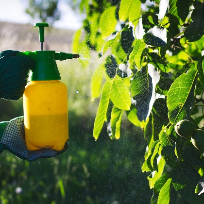 Pflanzenschutzmittel in Haus und Garten
