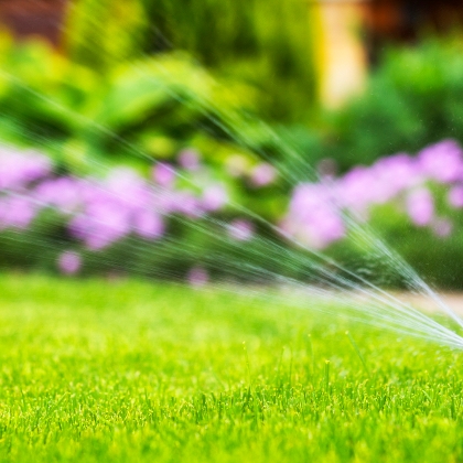 Häufig gestellte Fragen zur Rasenpflege im Sommer