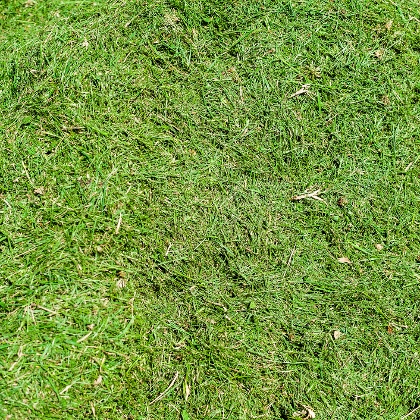 Rasenpflege mit einem Mulchmäher