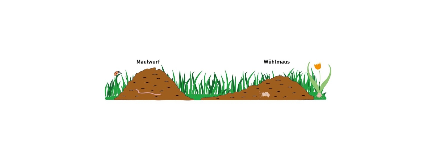 Haufen Maulwurd und Wühlmaus