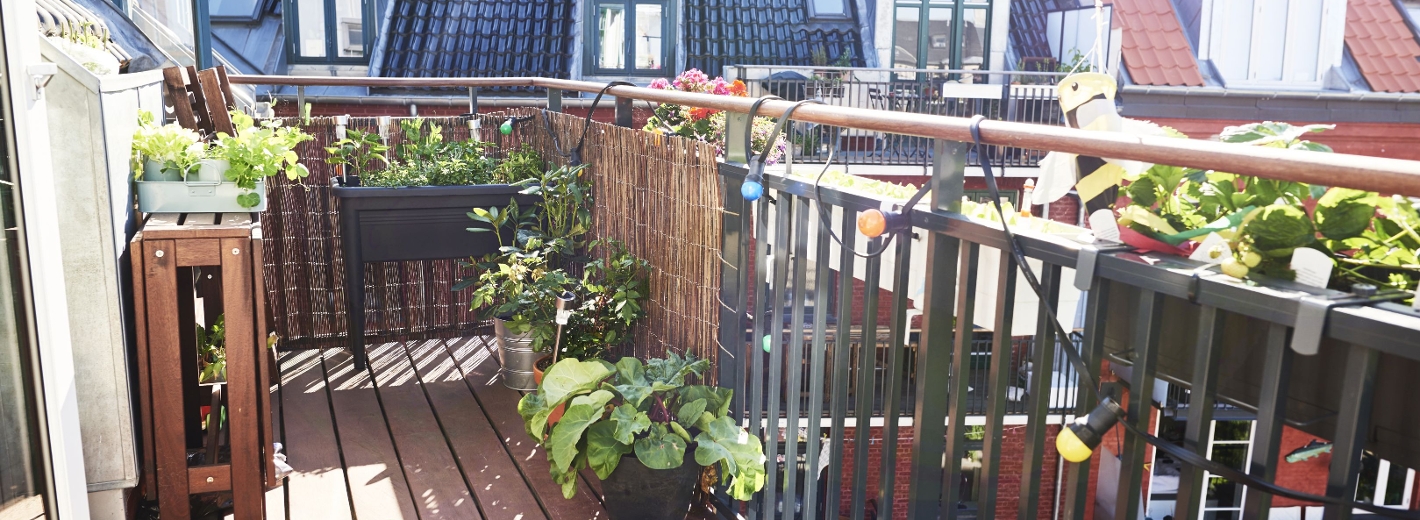 Balkon mit Pflanzen