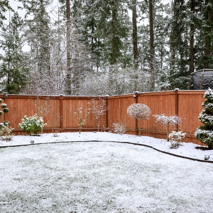 Gartenpflege im Winter