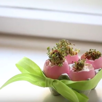 DIY Kresse-Ostereier