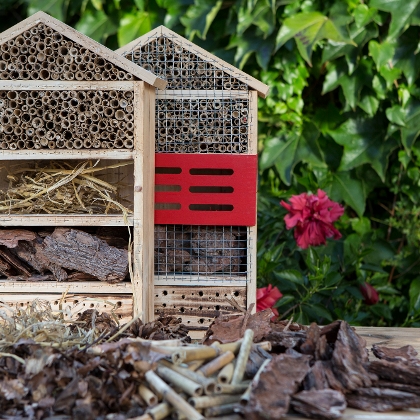 Insektenhotel bauen