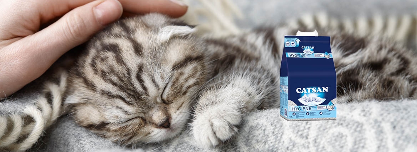 Catsan Hygienestreu für Katzen