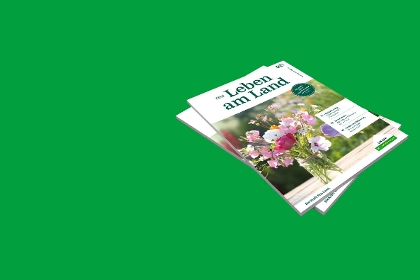 Lagerhaus Magazin Fürs Leben am Land 02/2025