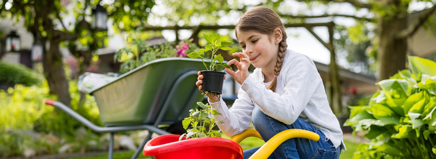 Mädchen mit Gemüsejungpflanze im Garten