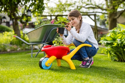 Mädchen mit Gemüsejungpflanze im Garten