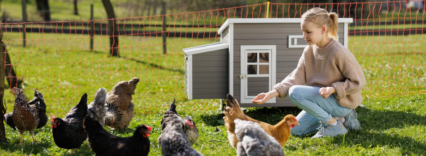 Tiere und Hobbyfarming