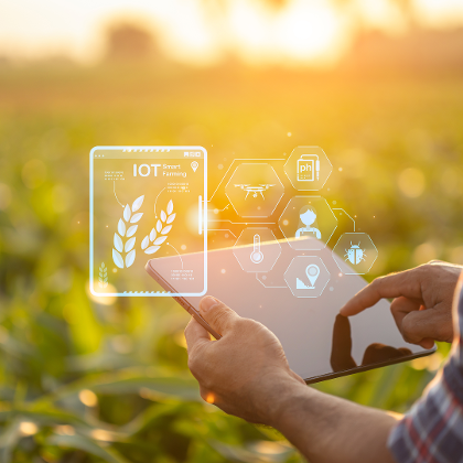 Die digitale Landwirtschaft