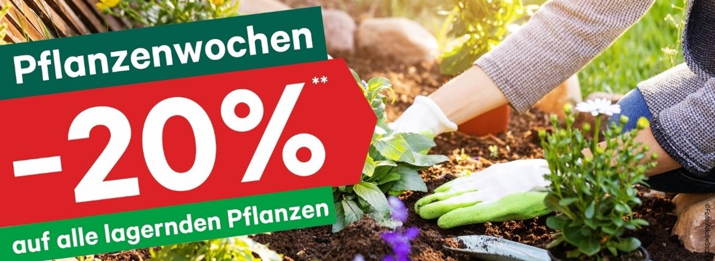 Pflanzenwochen 2025
