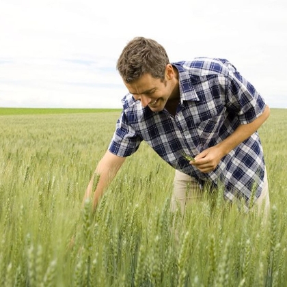 Landwirschaft