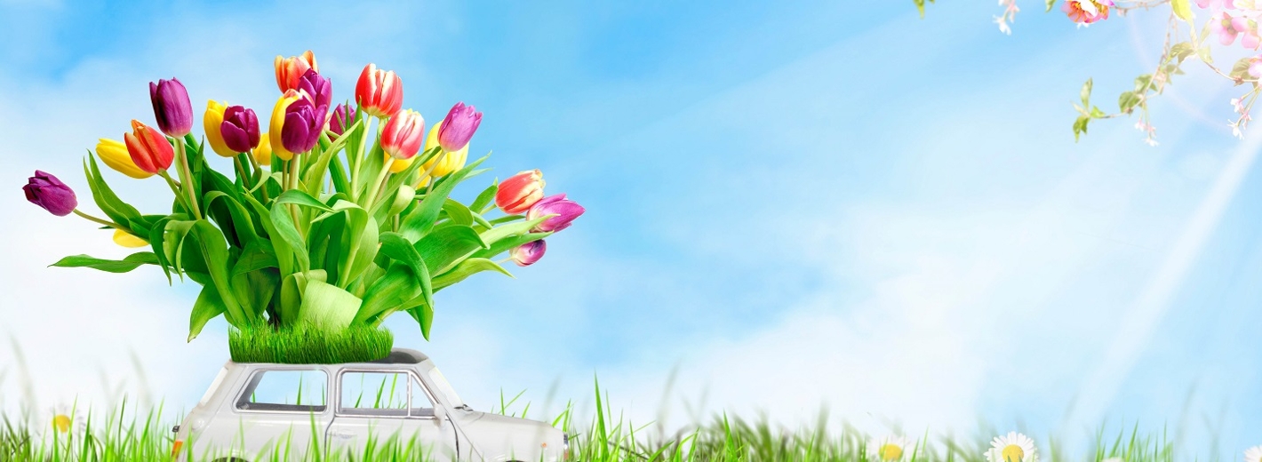 Auto Frühling