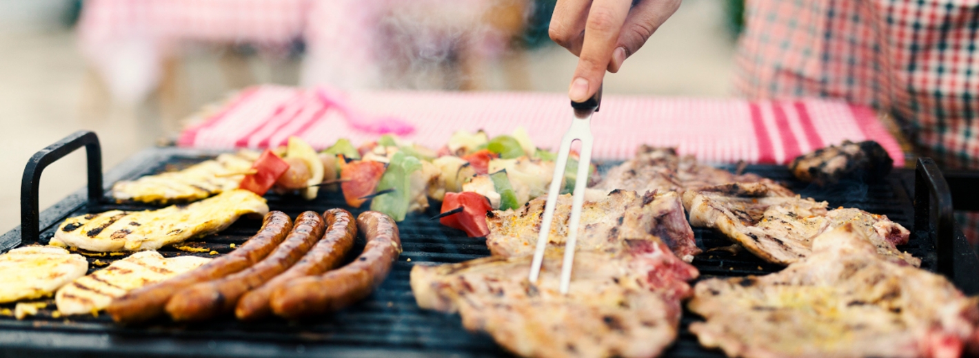 Weber Griller