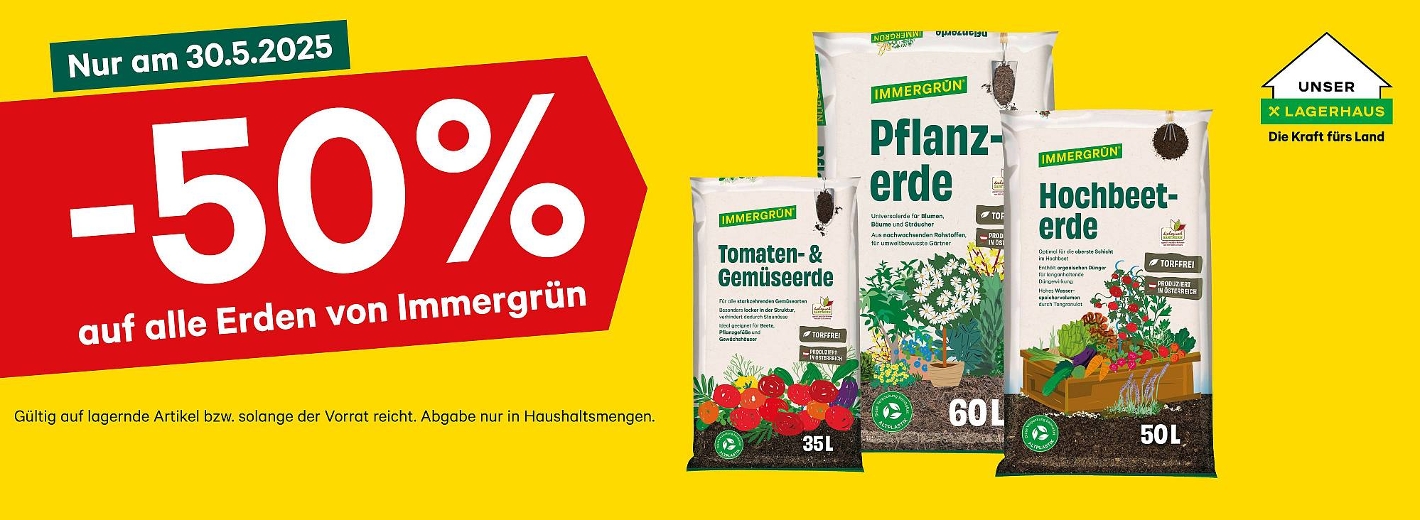 Immergrün-Aktion