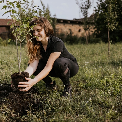 Frau pflanzt Baum im Garten ein