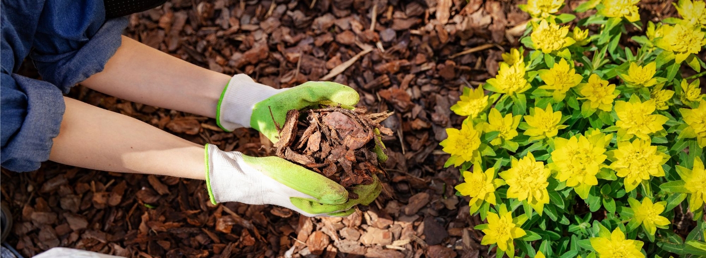 Blumenbeet wird mit Rindenmulch bearbeitet.