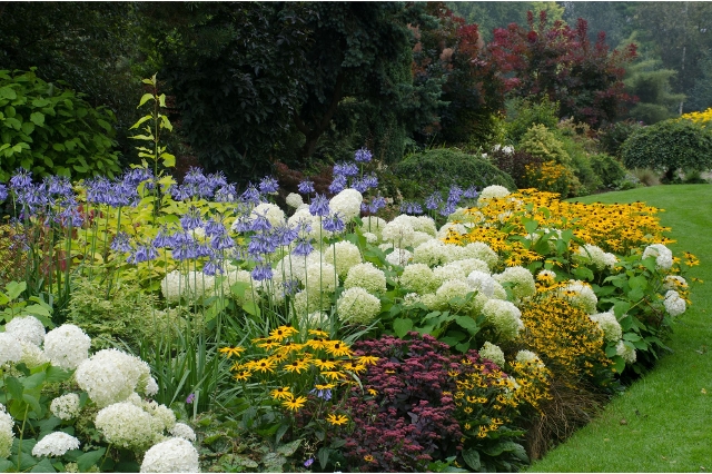 Blumenbeet mit vielen bunten Pflanzen bepflanzt
