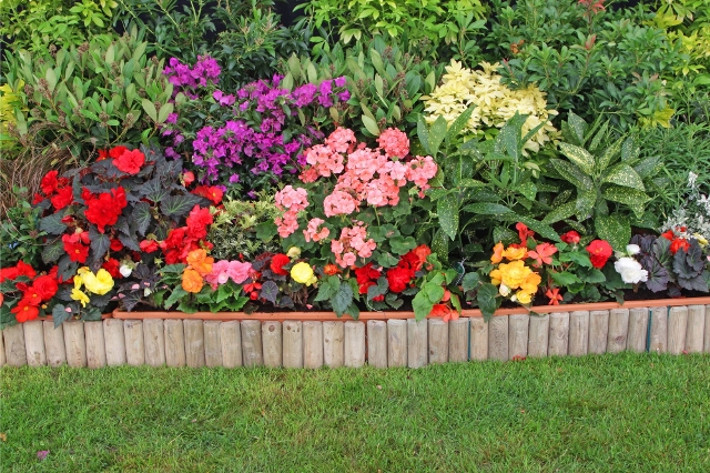 Buntes Blumenbeet mit Einfassung aus Holz