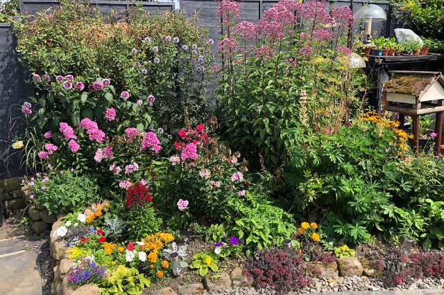 Blumenbeet dynamisch gestaltet mit unterschiedlich hohen Pflanzen