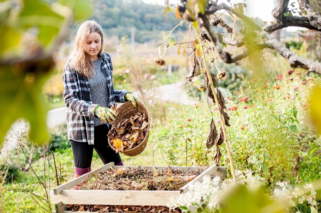 Frau gibt Küchenabfälle auf den Kompost im Garten
