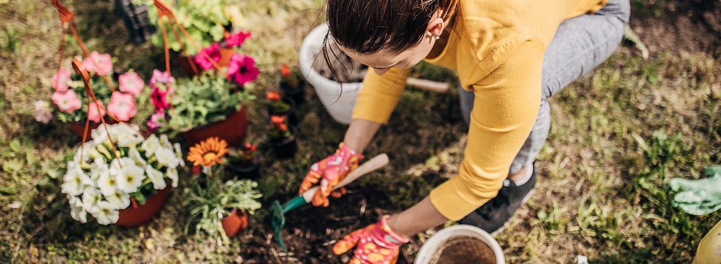 Frau pflanzt im Garten Blumen ein