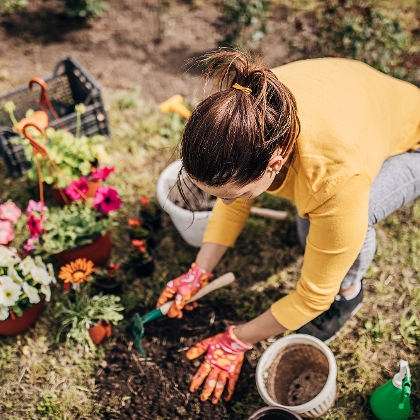 Frühling im Garten: Die besten Tipps für Hobbygärtner