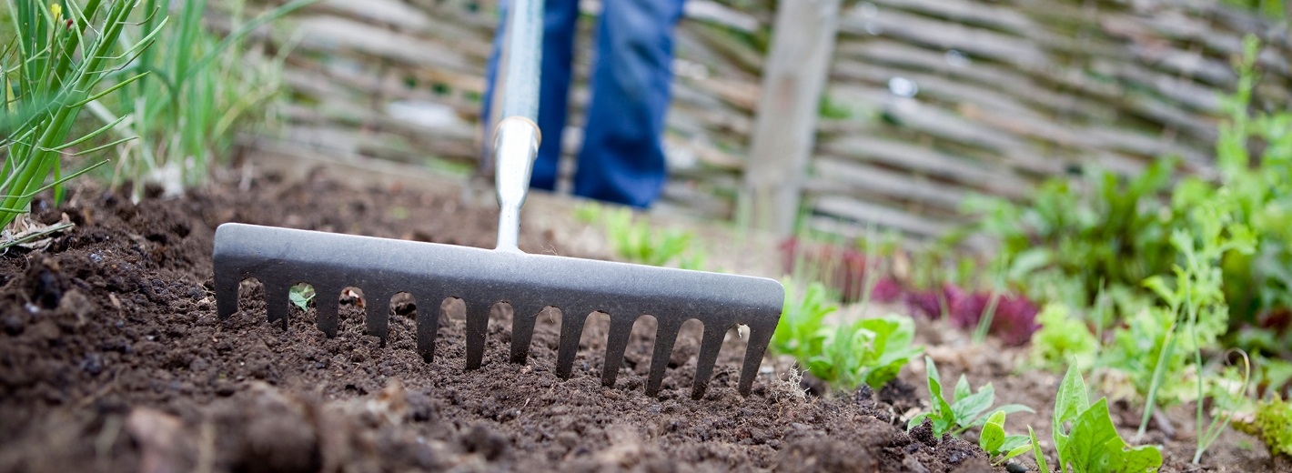 Garten frühlingsfit machen
