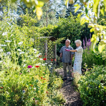 Garten gestalten: So planen Sie Ihren Traumgarten