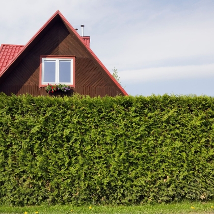 Sichtschutz im Garten: Die besten Ideen für mehr Privatsphäre