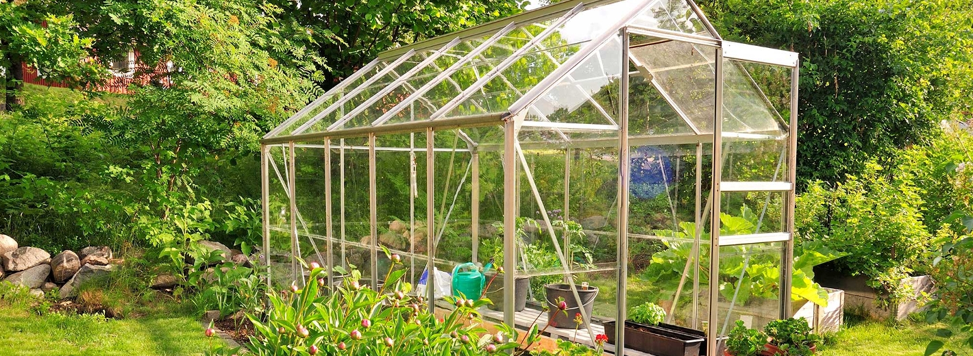 Glasgewächshaus im Garten