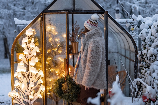 Glasgewächshaus im Winter