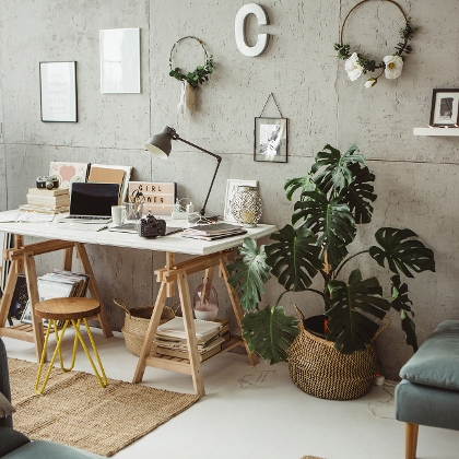 Arbeitsplatz zu Hause mit Zimmerpflanzen