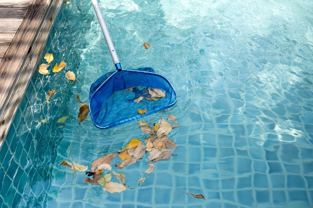 Pool wird mit Poolkescher gereinigt
