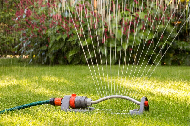 Rasen wird mit einem Sprinkler bewässert
