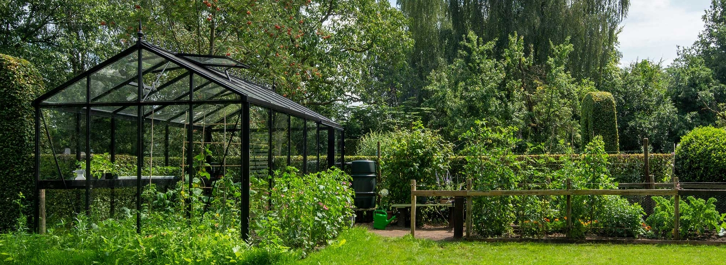 Schwarzes Gewächshaus im grünen Garten