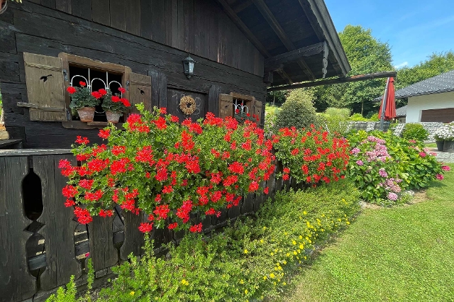 Lagerhaus Gartenstory Helenes Troadkasten mit Geranien